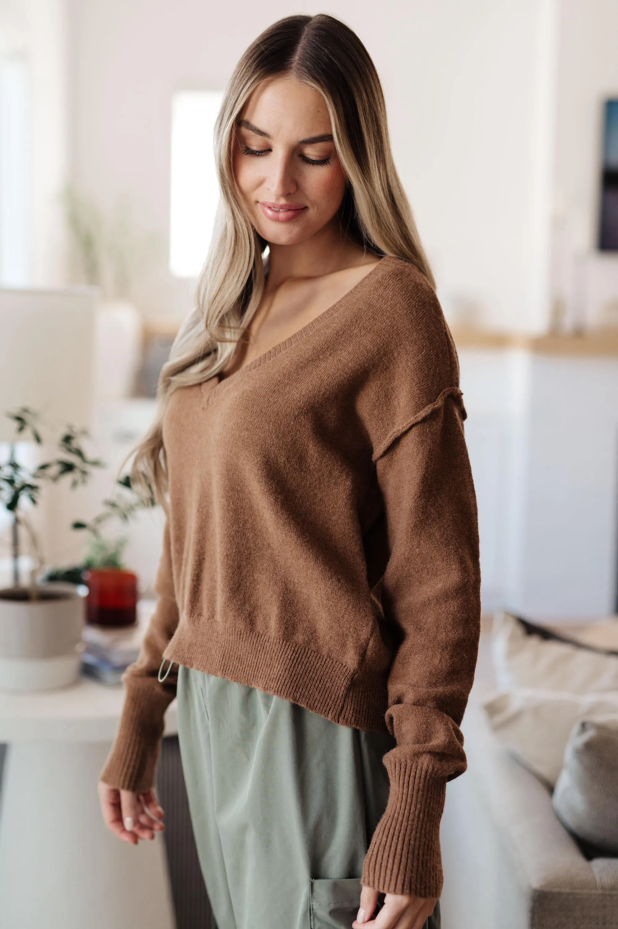 Back to Life V-neck Sweater in Mocha — view 8